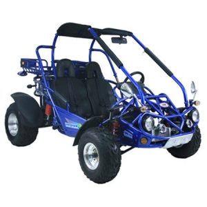 TrailMaster 300 XRXE (EFI)