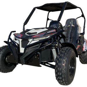 TrailMaster Cheetah 300E (EFI)
