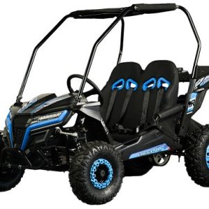 TrailMaster Cheetah 6