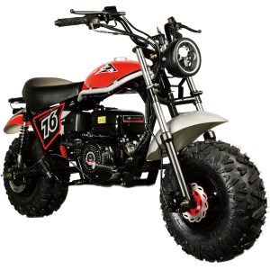 TrailMaster Hurricane 200X Mini Bike