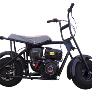 TrailMaster Storm 200 Mini Bike