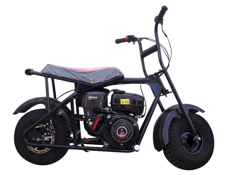 TrailMaster Storm 200 Mini Bike