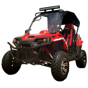 TrailMaster Challenger 200EX (EFI)