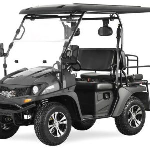 TrailMaster Taurus 200GX UTV