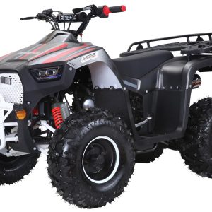 JHL Mini 125R Utility ATV
