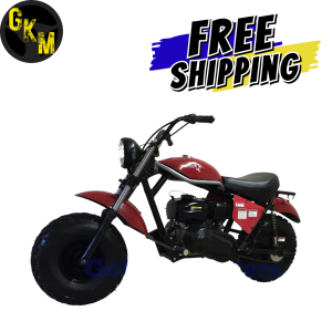 TrailMaster MB200-2 Mini Bike