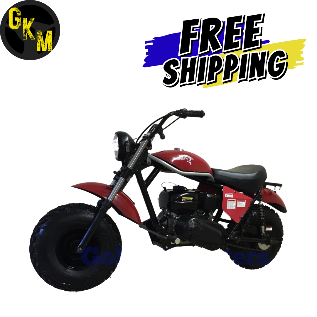 TrailMaster MB200-2 Mini Bike